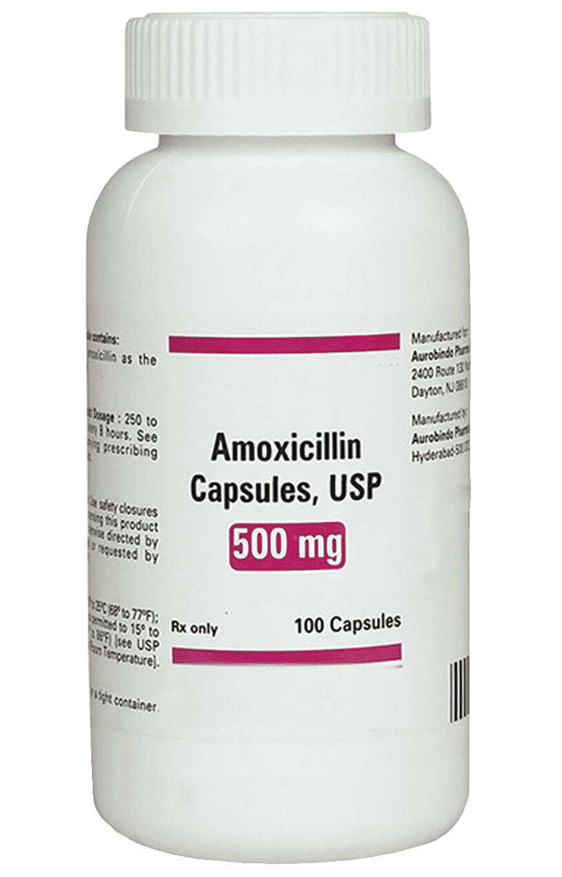 amoxicillin-cp-500-mg-pdrx-100-protect-it-dental